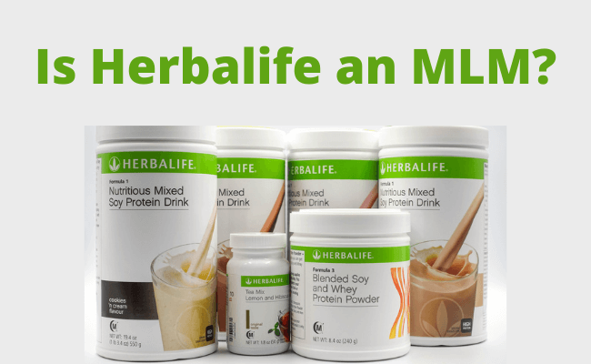 Is Herbalife an MLM?