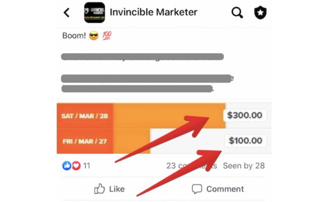Invincible Marketer Testimonials