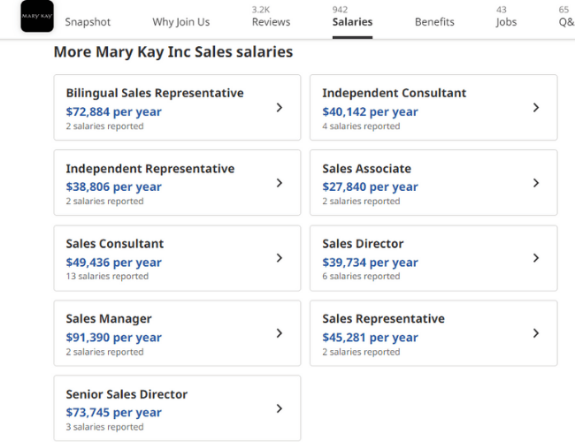 Mary Kay Income Report