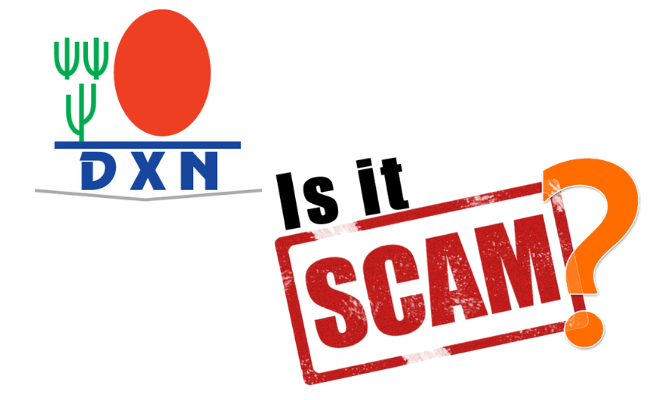 Is DXN a Scam