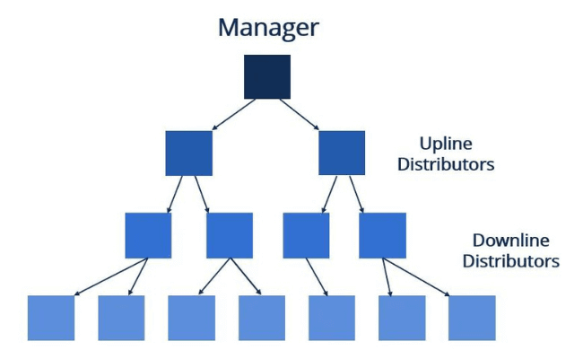 Oriflame Pyramid Scheme