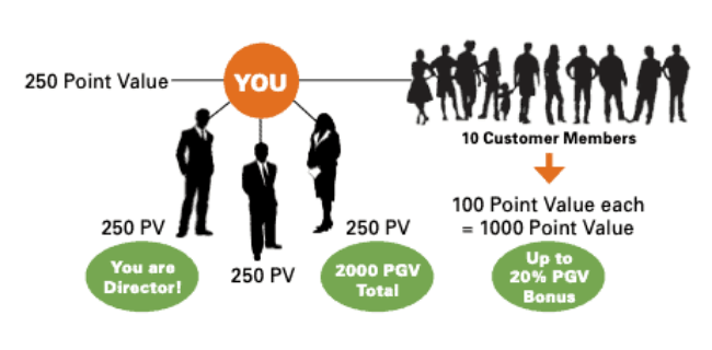 Shaklee MLM Compensation Plan