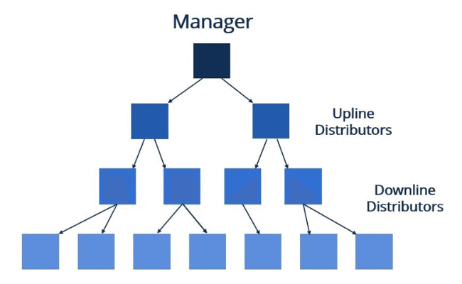 Shaklee MLM Pyramid Scheme