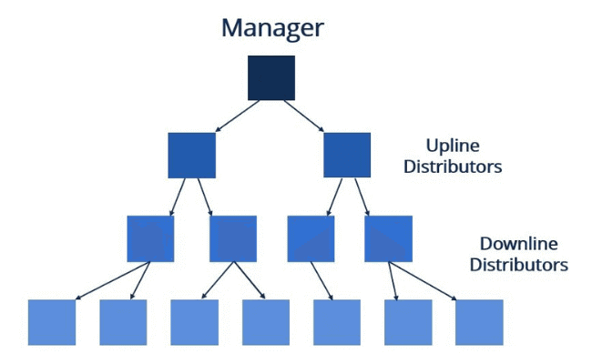 Usana MLM Pyramid Scheme