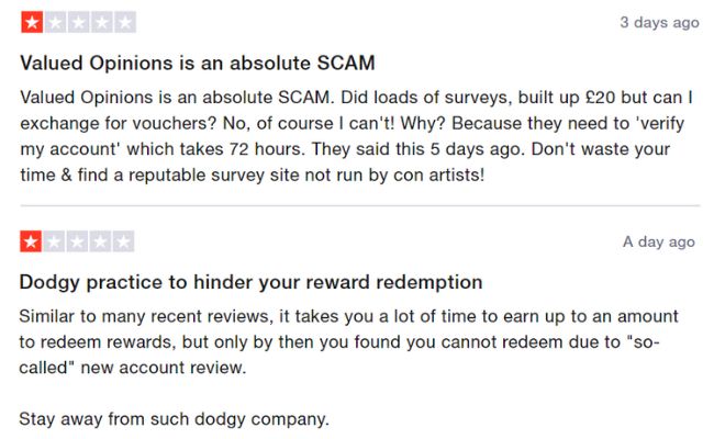 Valued Opinions Scam Reviews