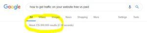 Google Search Results Example Two