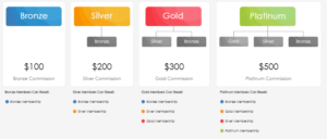 Instant Cash Solution Compensation Plan