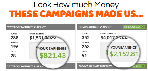 Smash My Campaigns - Earnings Example 