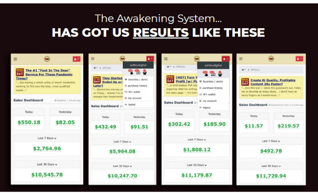The Awakening System Review - Earnings 