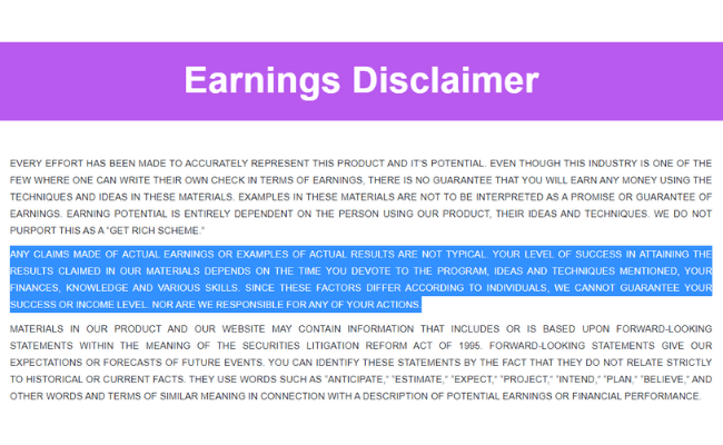 Write App Reviews Review - Earnings Disclaimer 