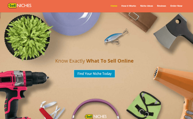 Sell Niches Website