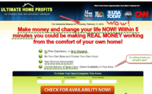 Home Profit System Review - Scam or Legit? The Truth...