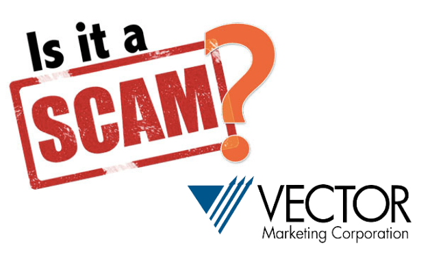 Is Vector Marketing a Scam